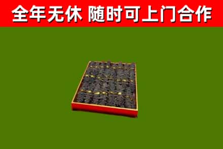 千山回收海参